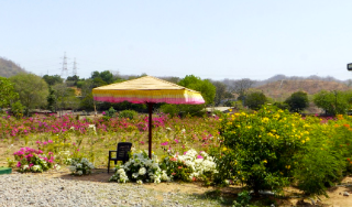 valley of flowers statue of unity