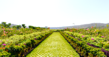 valley of flowers statue of unity