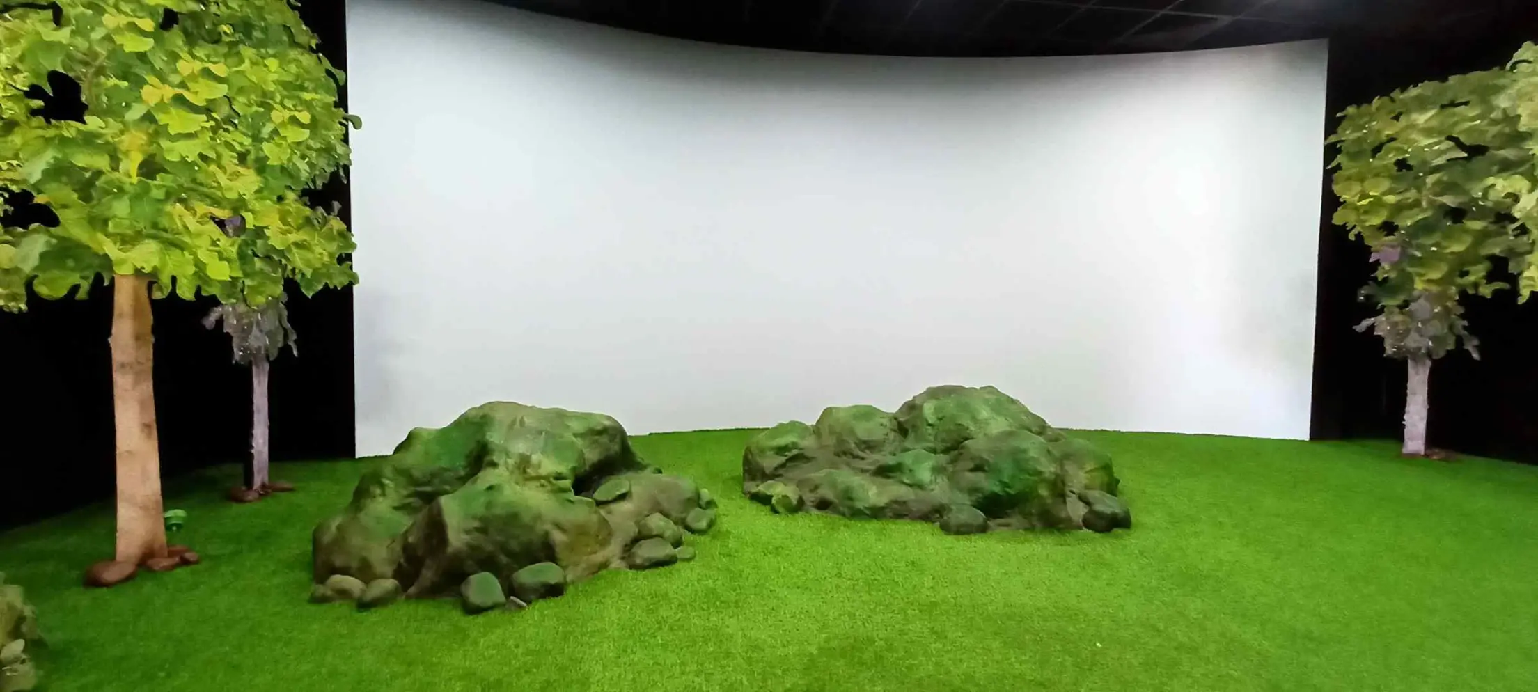 MIYAWAKI FOREST AT KEVADIA (EKTA-NAGAR)