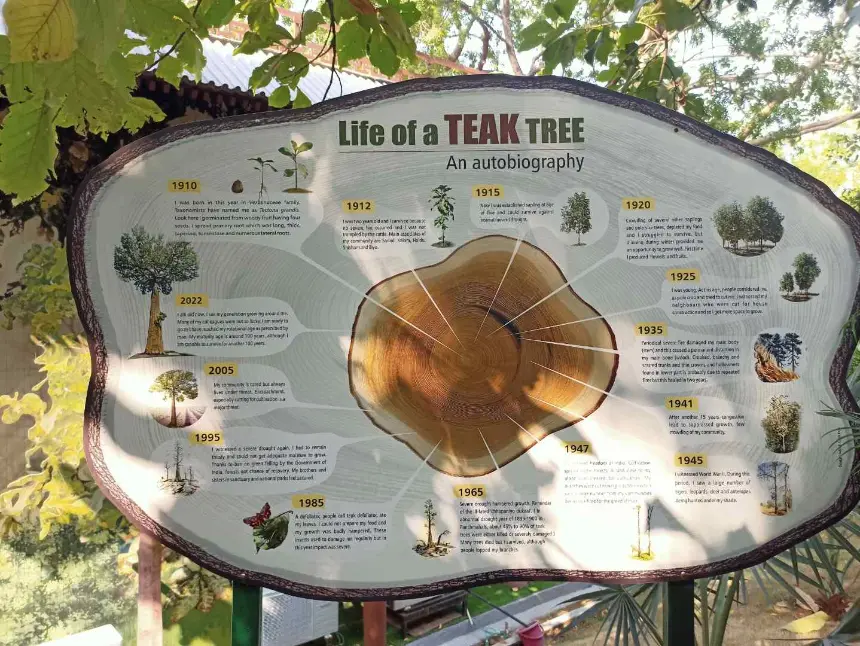 MIYAWAKI FOREST AT KEVADIA (EKTA-NAGAR)