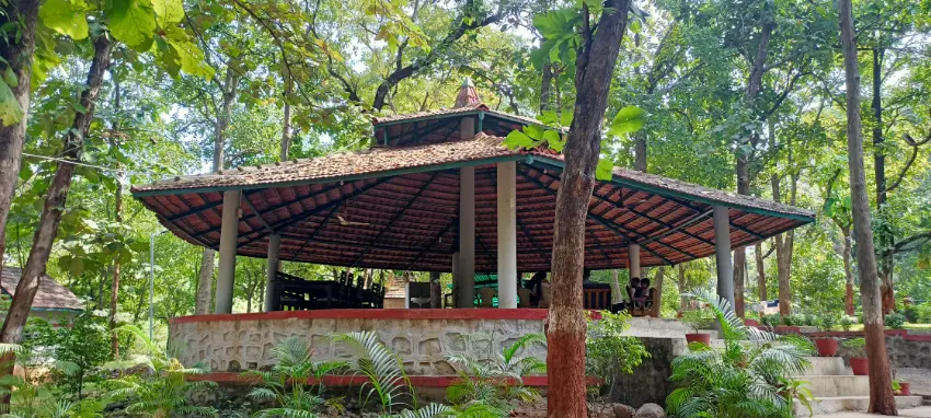 Places to Visit Near Statue of Unity SHOOLPANESHWAR WILDLIFE SANCTUARY