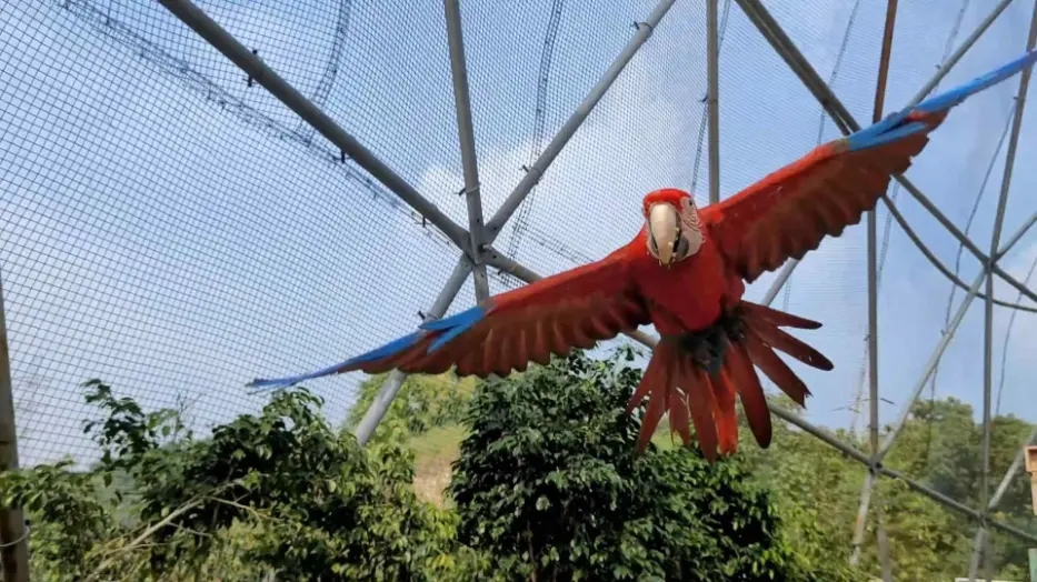 Statue of Unity Package PETS ZONE AT STATUE OF UNITY