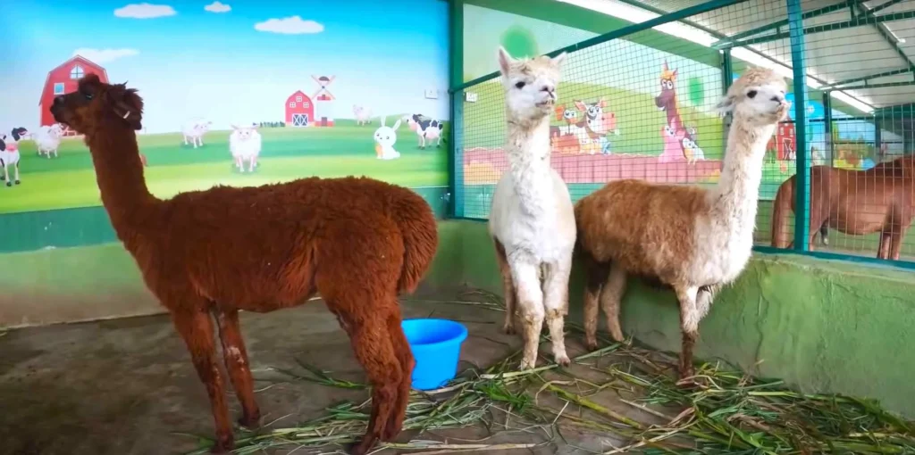 places near statue of unity