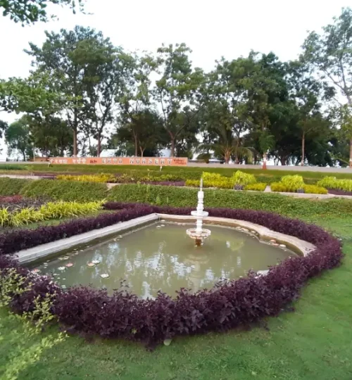 ekta garden, ekta nursery