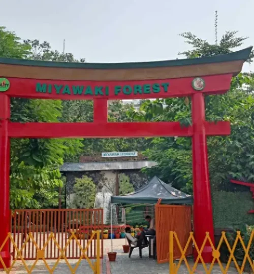 miyawaki forest, mini forest at kevadia (ekta-nagar), places near statue of unity