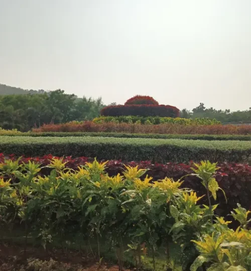 ekta nagar, Arogya Van