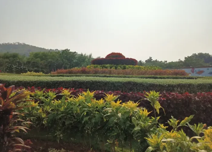 ekta nagar, Arogya Van