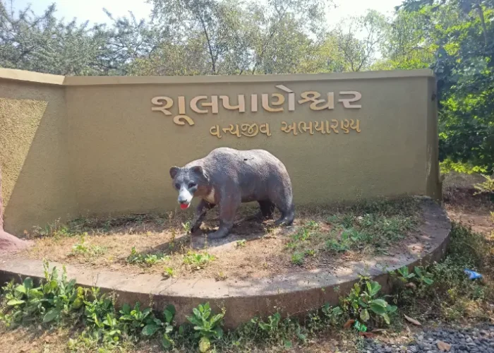 shoolpaneshwar wildlife sanctuary
