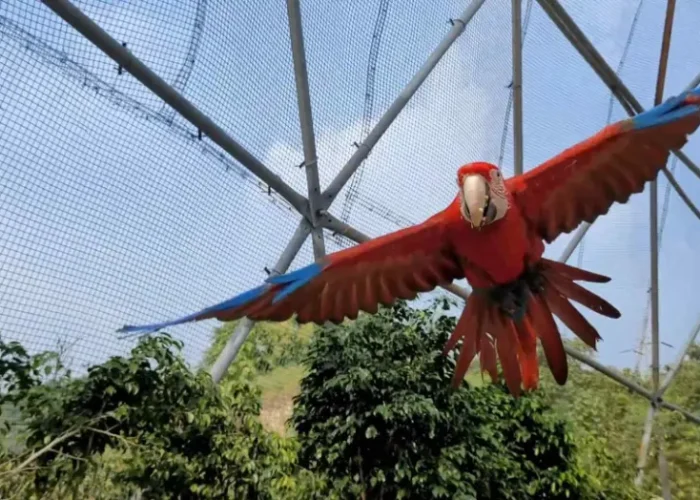 Statue of Unity Package PETS ZONE AT STATUE OF UNITY