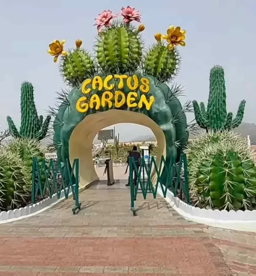 cactus garden